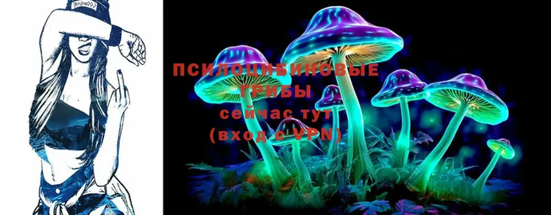 Галлюциногенные грибы MAGIC MUSHROOMS  Ижевск 